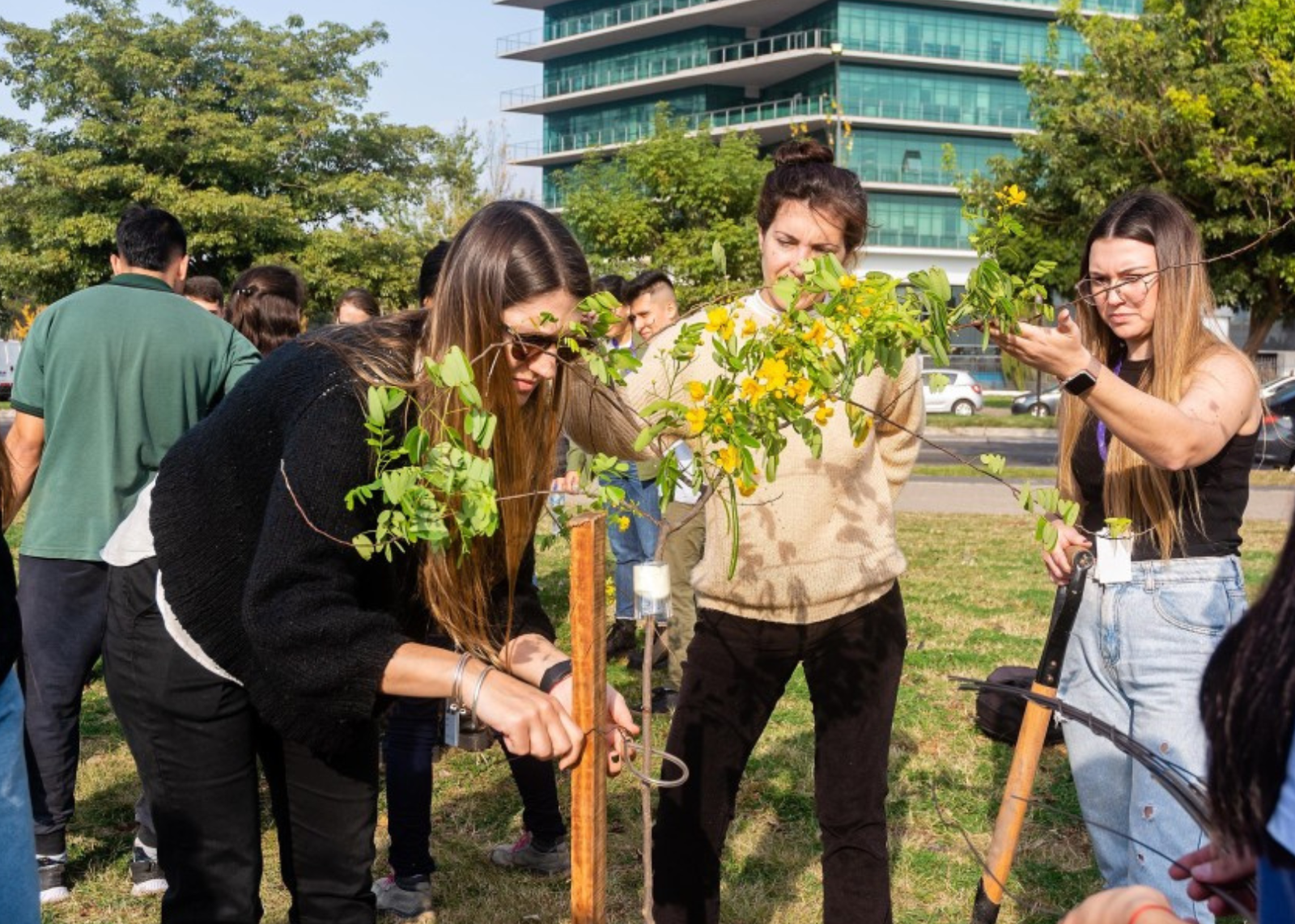 Rosario conmemora la «Semana del Árbol» con múltiples actividades